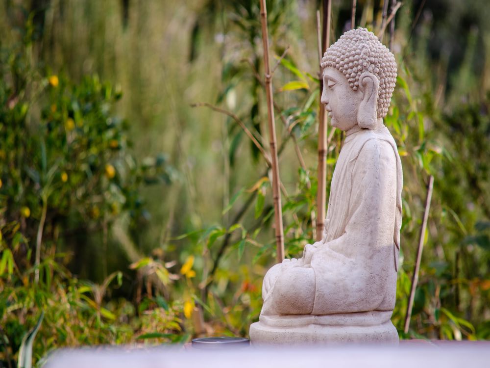 Enhance your practice with these meditation tips and facts. Find the anwers to all your questions about the ancient old practice in this library.