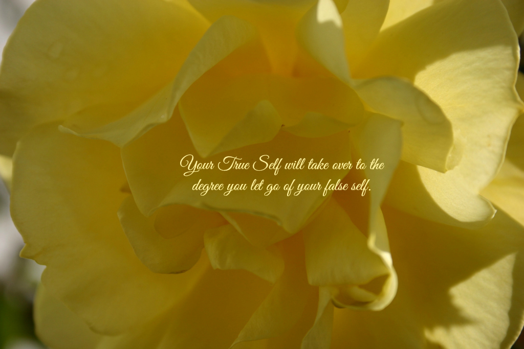 meditation wallpaper - Your True Self