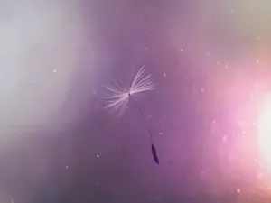 The best meditation for beginners advice is on how to deal with the main obstacles that start to show up as one closes their eyes and sets upon traveling within. 