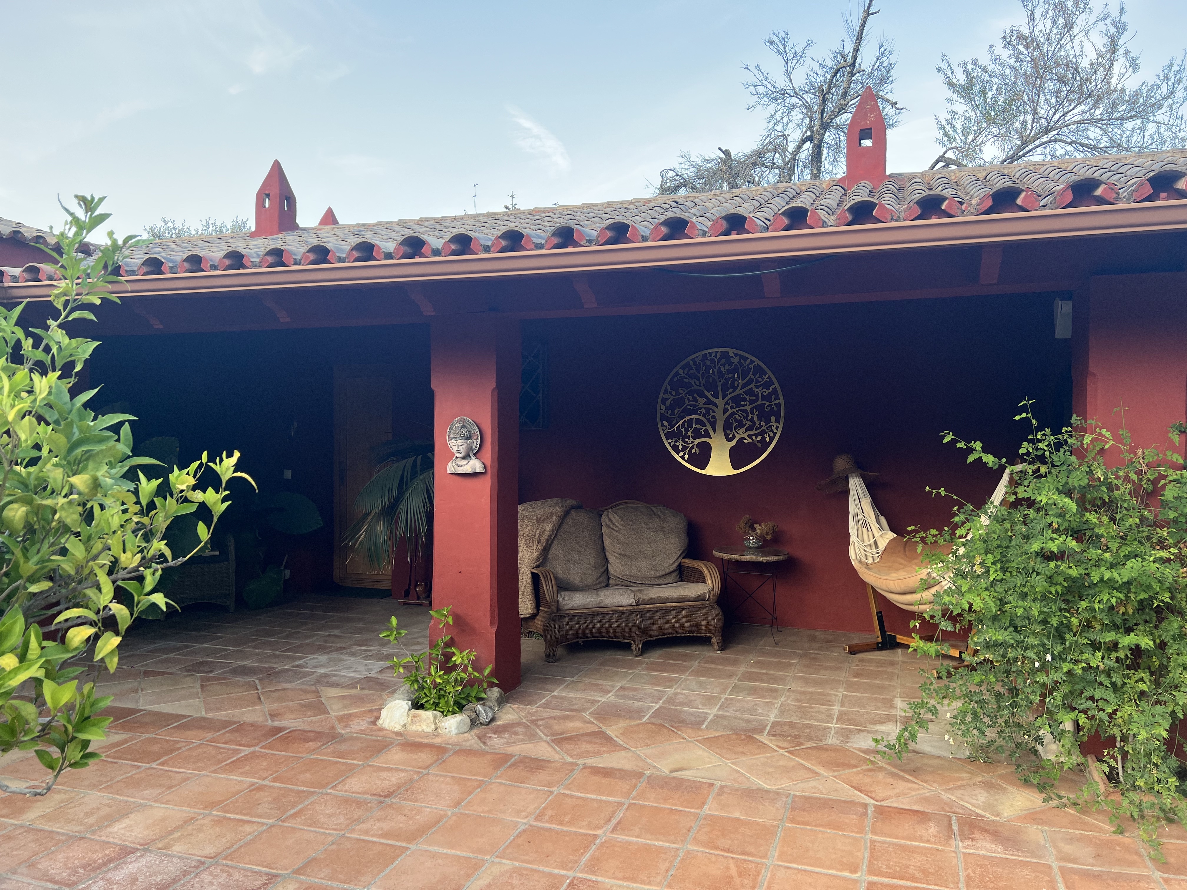 terrace of guests