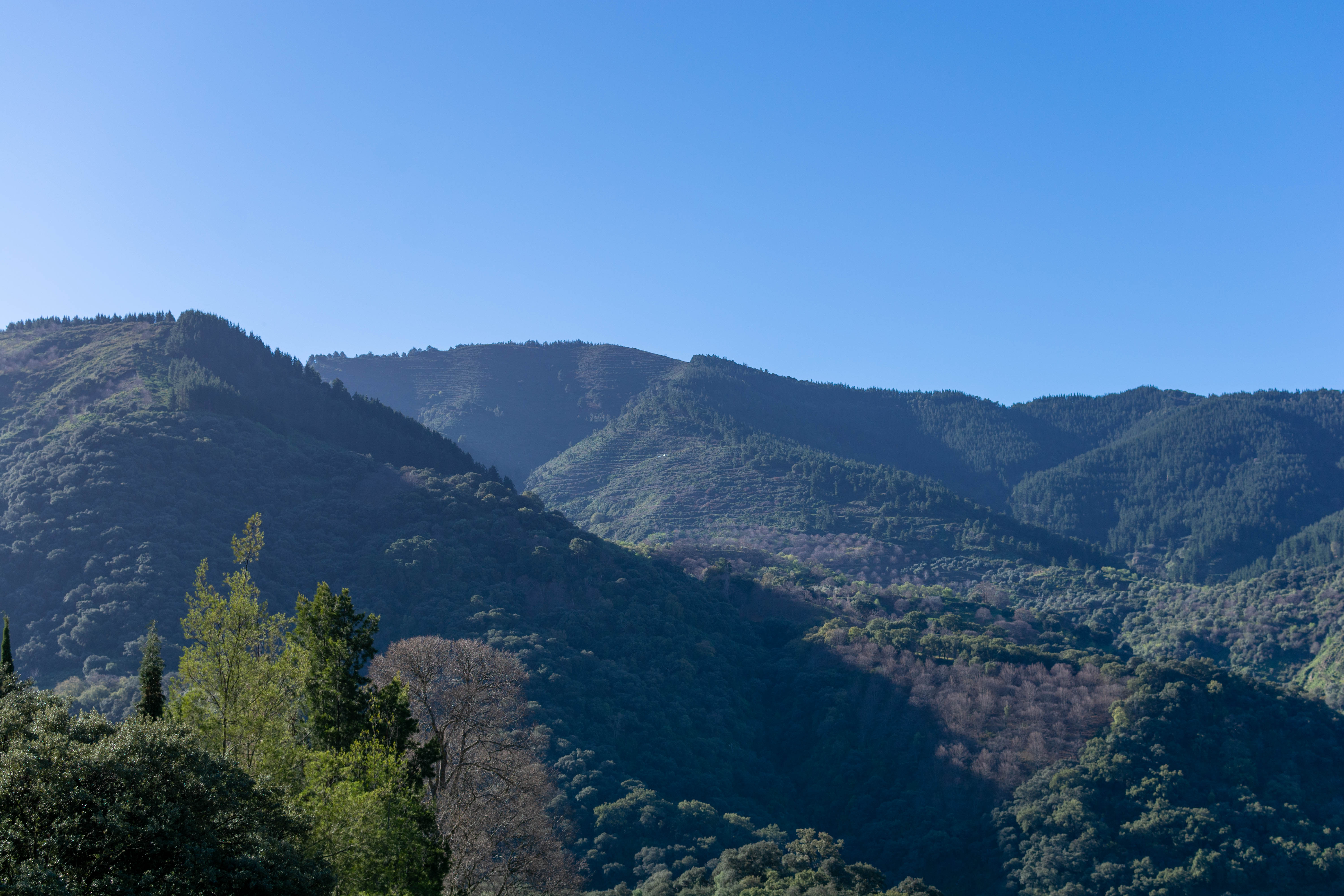 views of retreat for sale