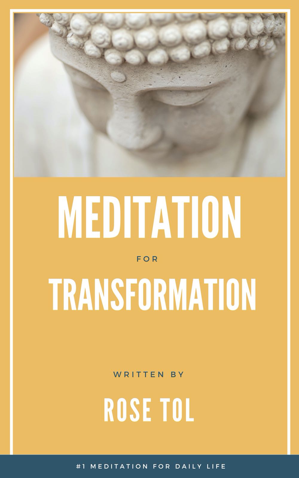 meditation and transformation book