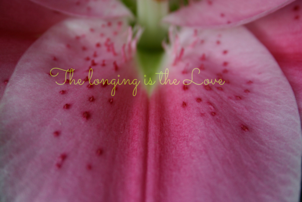 meditation wallpaper - longing