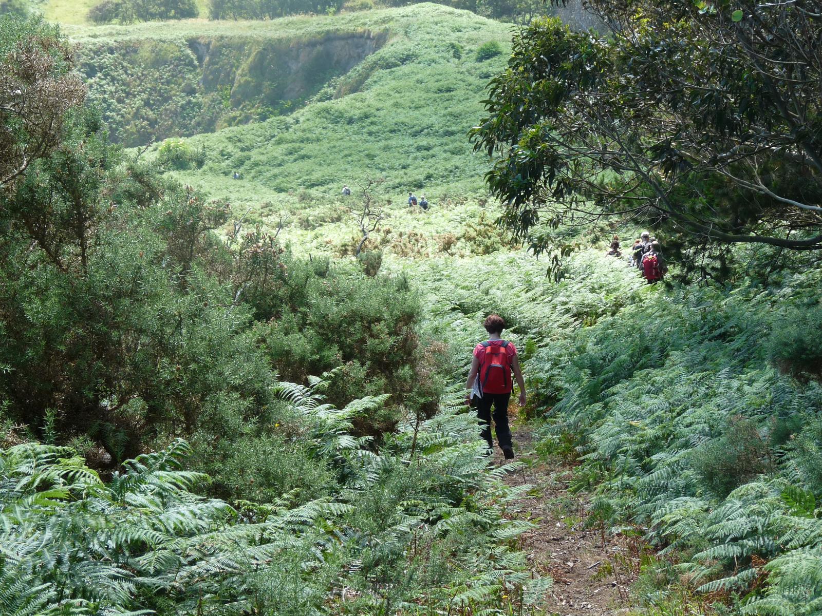 walkingpaths retreat walkingpaths retreat